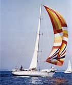 Sloop racer cruiser